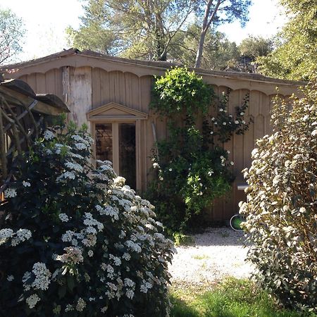 Cabane De La Leque Fontvieille Bagian luar foto