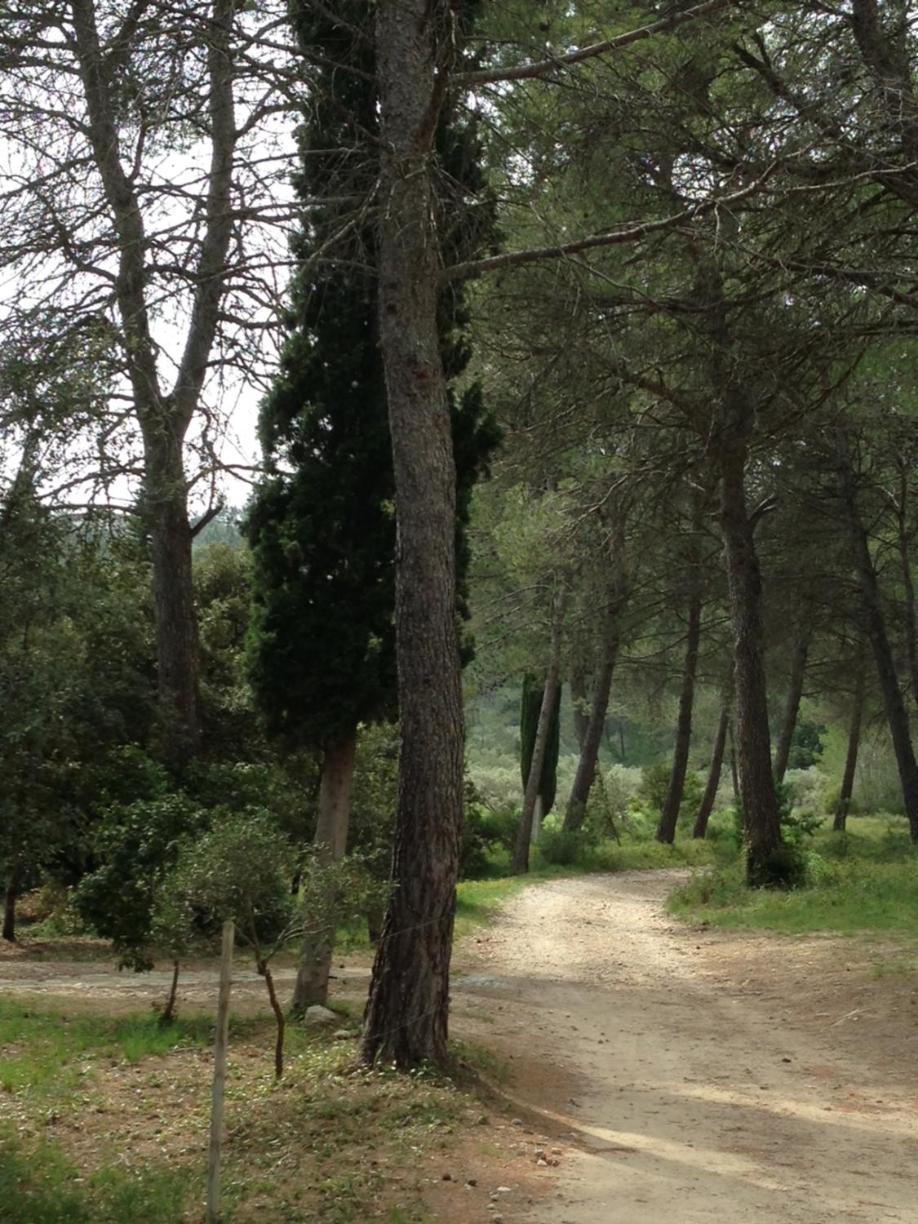 Cabane De La Leque Fontvieille Bagian luar foto