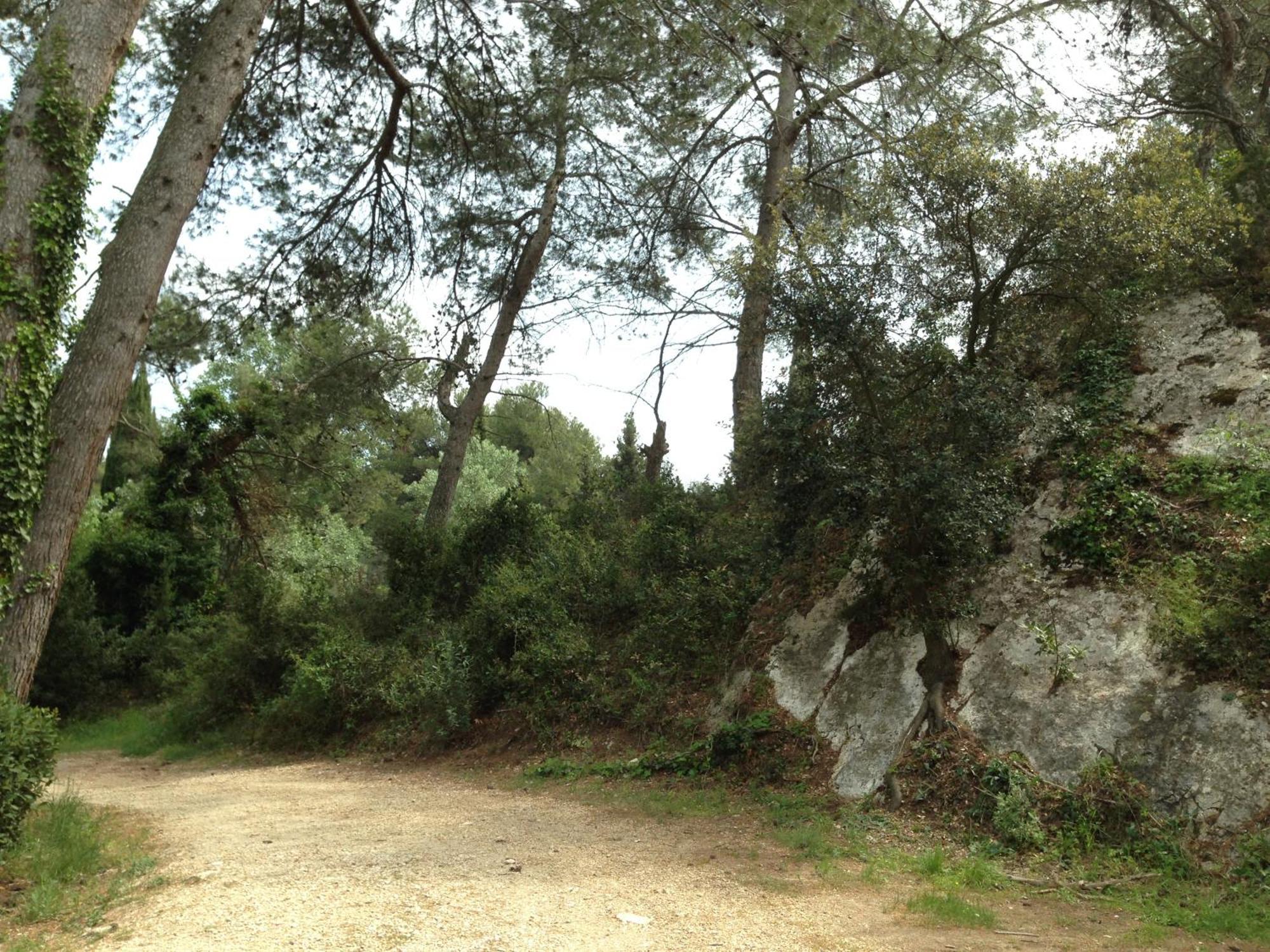 Cabane De La Leque Fontvieille Bagian luar foto