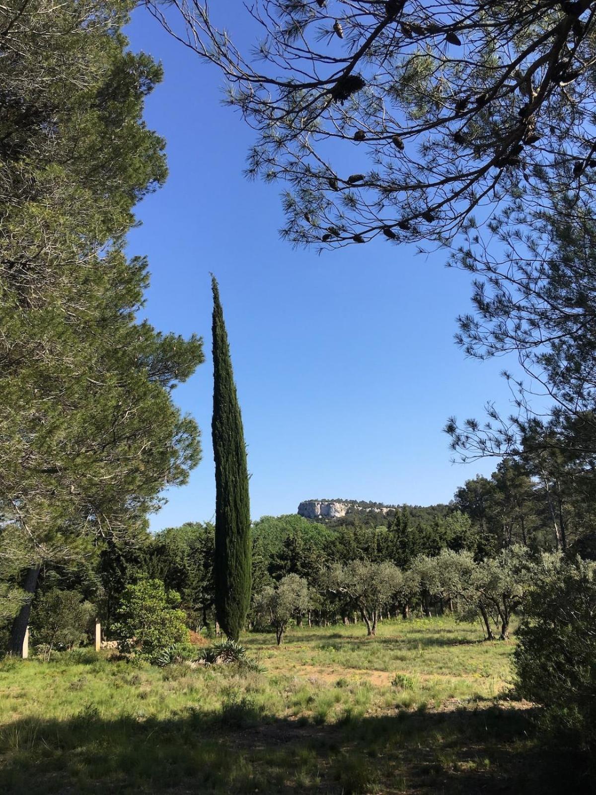 Cabane De La Leque Fontvieille Bagian luar foto