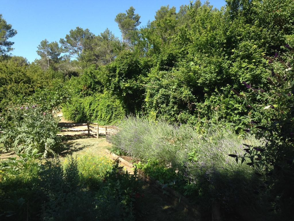 Cabane De La Leque Fontvieille Bagian luar foto