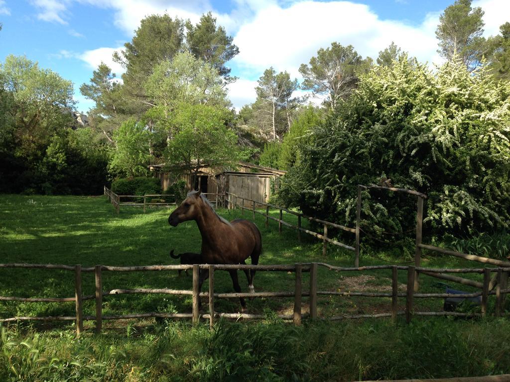 Cabane De La Leque Fontvieille Bagian luar foto