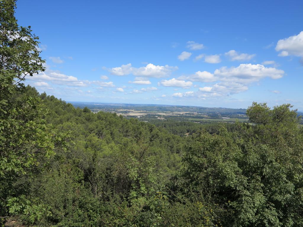 Cabane De La Leque Fontvieille Bagian luar foto